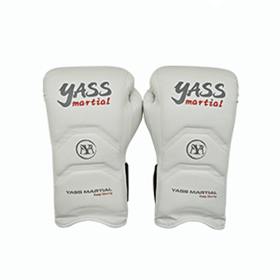Boxing Gloves CSG001